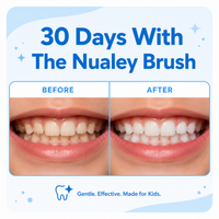 Nualey BrushBuddy