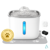 Nualey 3L Cat Water Fountain – Quiet, Filtered, Fresh Water Anytime
